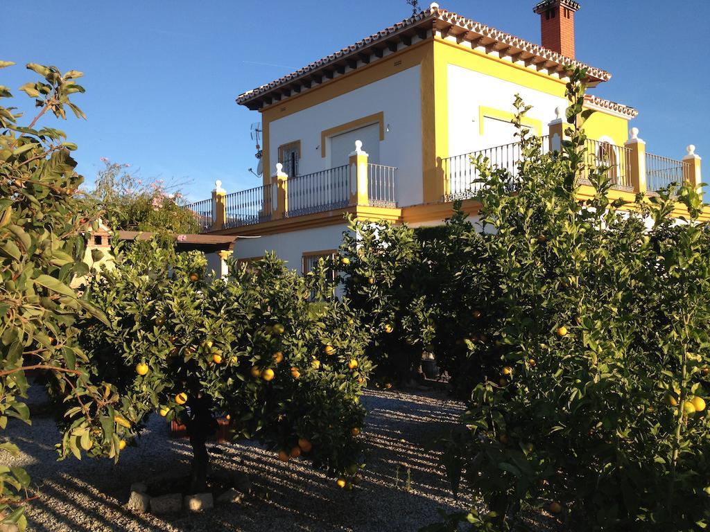 Bed & Breakfast Colina Del Sol