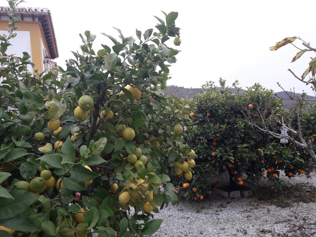 Bed & Breakfast Colina Del Sol 3*